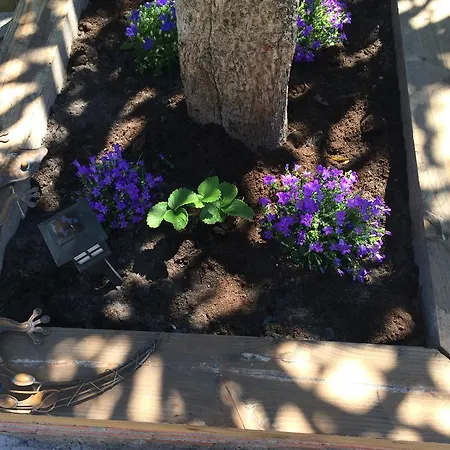 Kır Evi La Casina De Berdayes